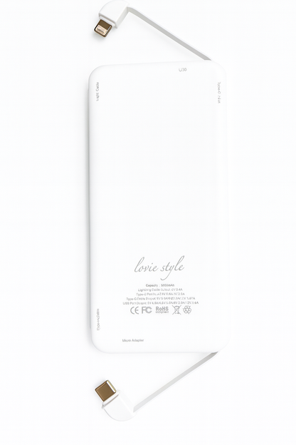 Replacement Power Bank for Charging Passport Holder